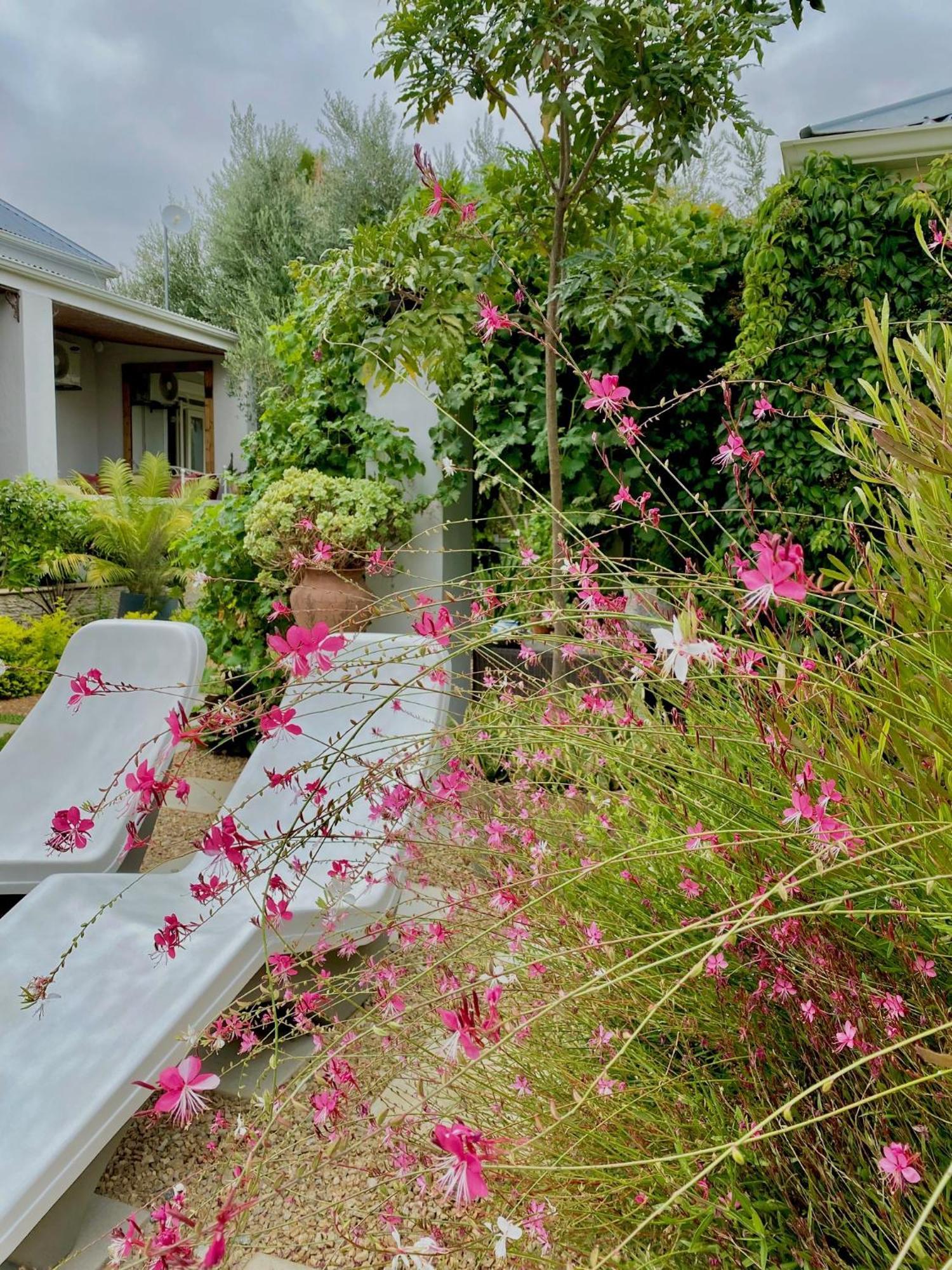 1 Royal Street Guesthouse Riebeek-Kasteel Exterior foto